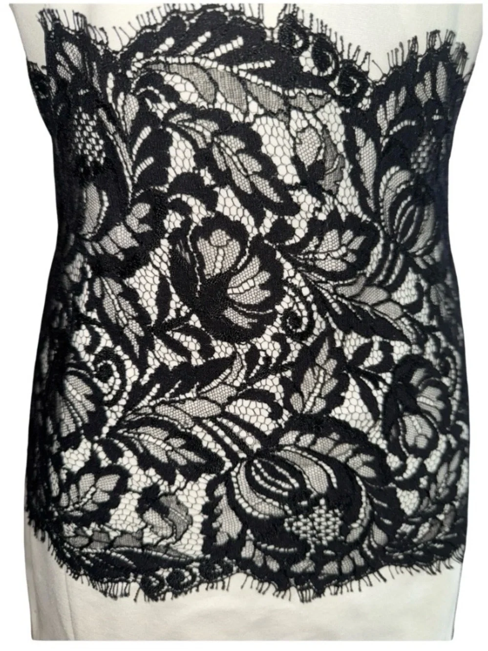 Cream Sheath Dress Black Lace Waist Corset Romantic Dark Academia Cocktail dress